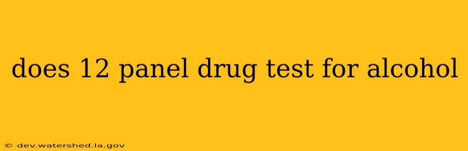 does 12 panel drug test for alcohol