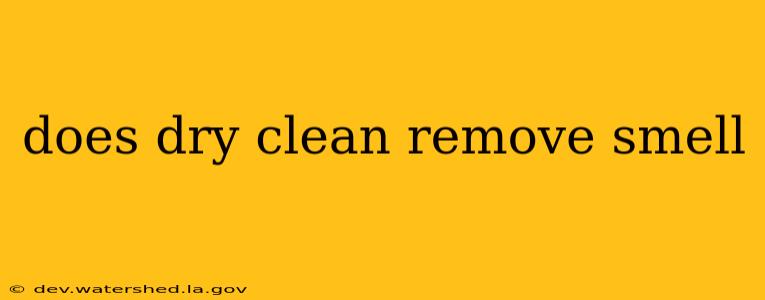 does dry clean remove smell
