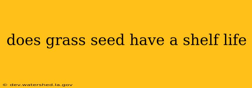 does grass seed have a shelf life