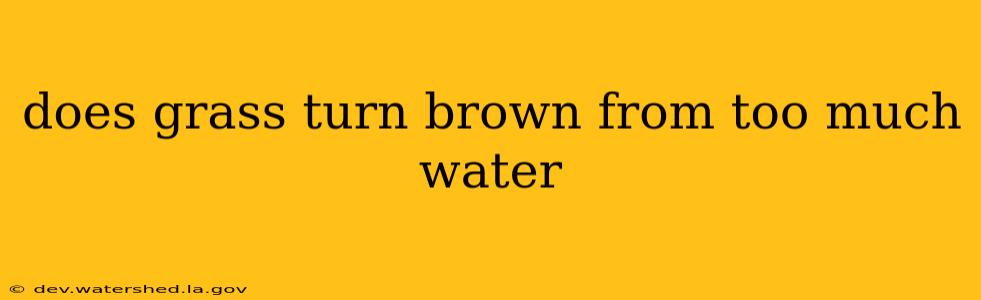 does grass turn brown from too much water