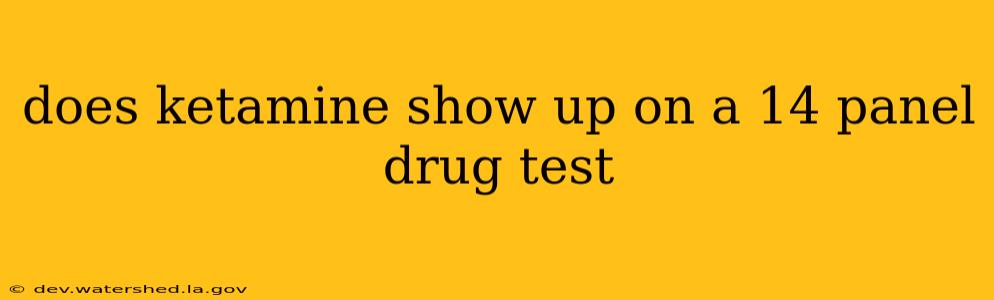 does ketamine show up on a 14 panel drug test