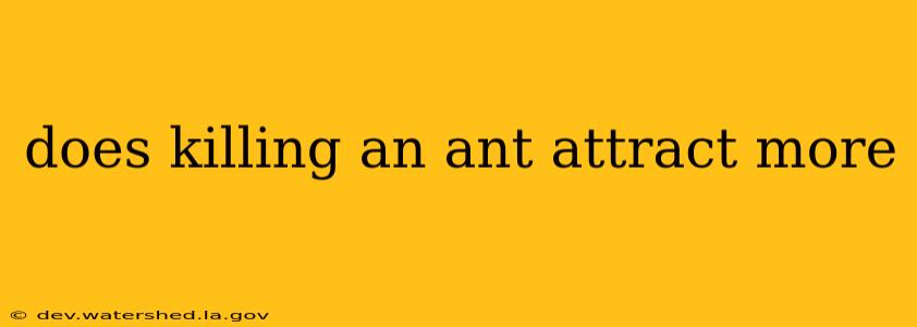 does killing an ant attract more