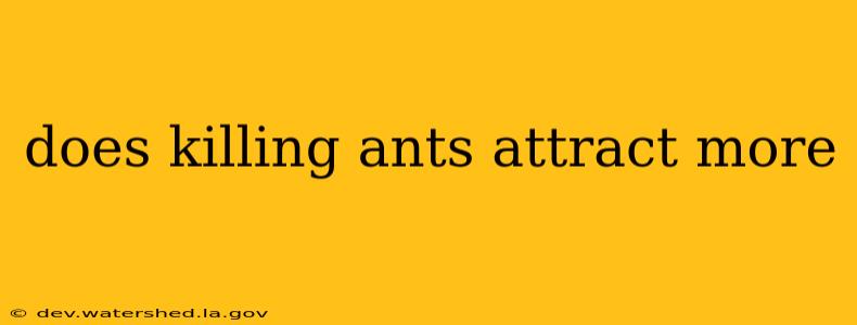 does killing ants attract more