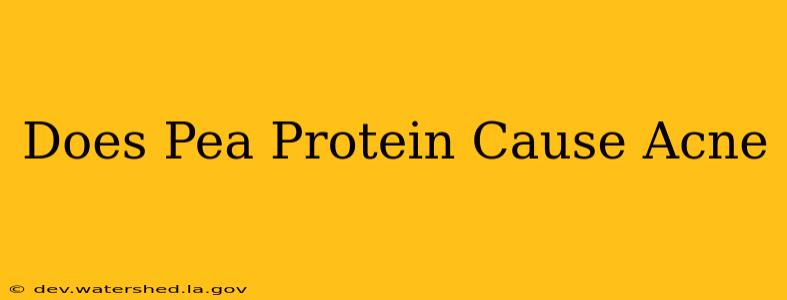 does pea protein cause acne