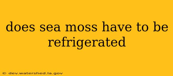 does sea moss have to be refrigerated