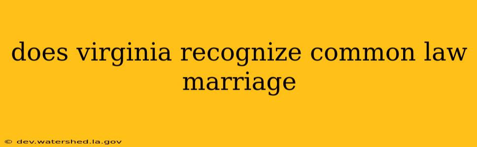 does virginia recognize common law marriage