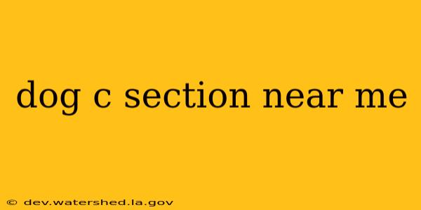 dog c section near me