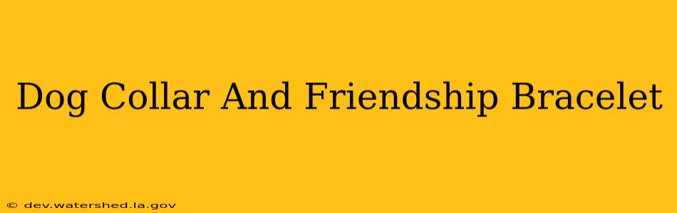 dog collar and friendship bracelet