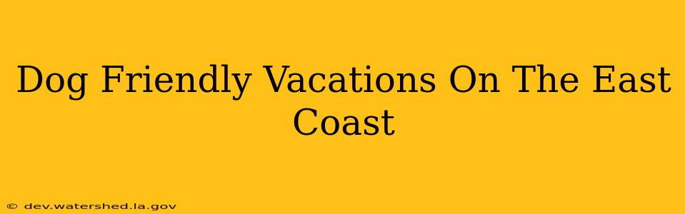 dog friendly vacations on the east coast