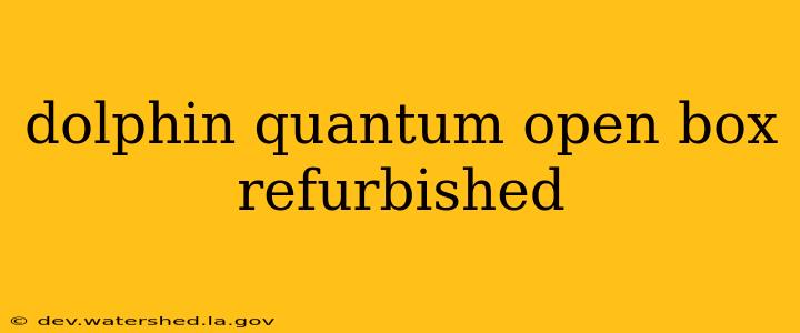 dolphin quantum open box refurbished