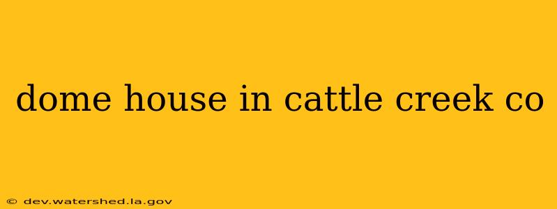 dome house in cattle creek co