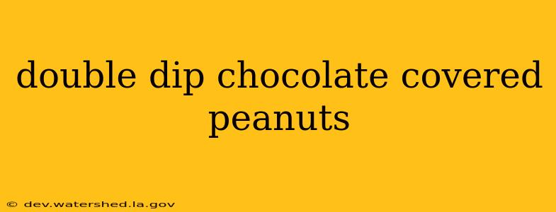 double dip chocolate covered peanuts