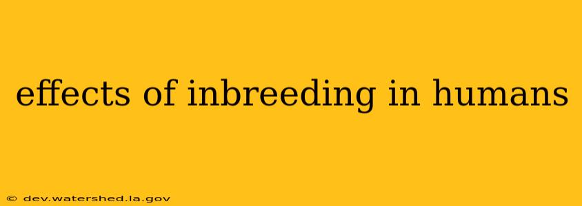 effects of inbreeding in humans
