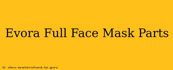 evora full face mask parts