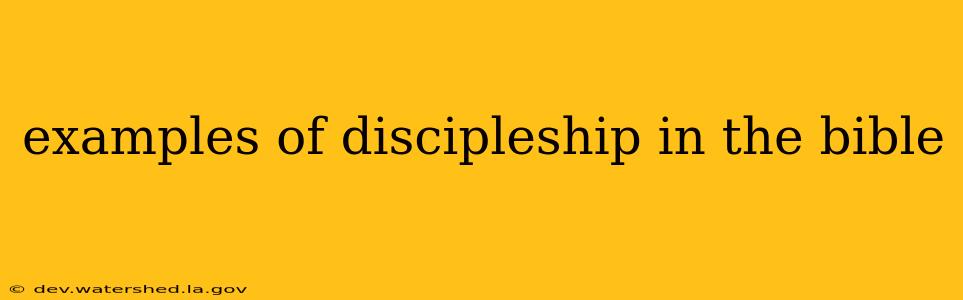 examples of discipleship in the bible