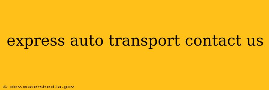 express auto transport contact us