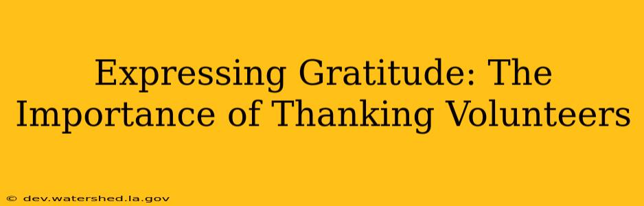 Expressing Gratitude: The Importance of Thanking Volunteers
