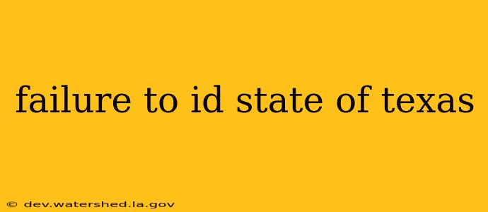 failure to id state of texas