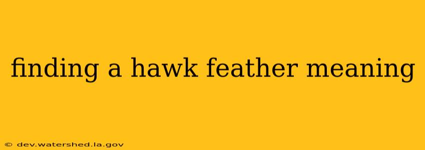 finding a hawk feather meaning