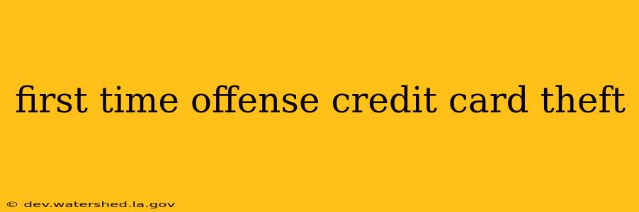 first time offense credit card theft