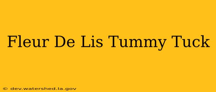 fleur de lis tummy tuck