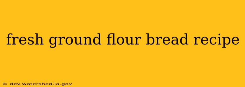 fresh ground flour bread recipe