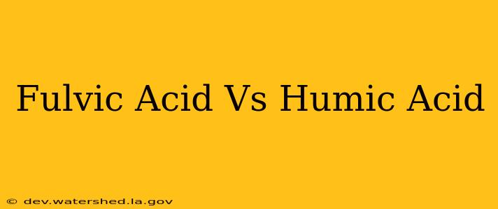 fulvic acid vs humic acid