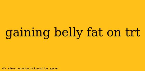 gaining belly fat on trt
