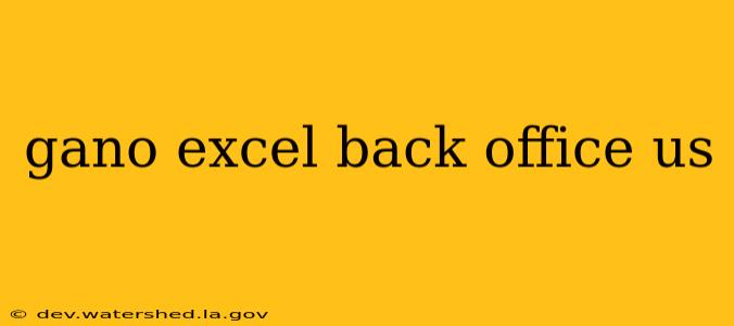 gano excel back office us
