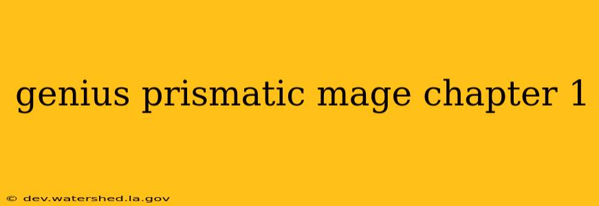 genius prismatic mage chapter 1