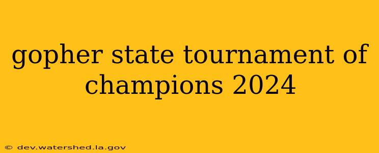 gopher state tournament of champions 2024