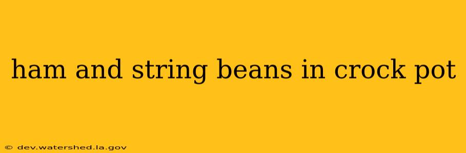 ham and string beans in crock pot