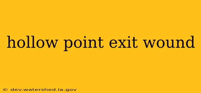 hollow point exit wound