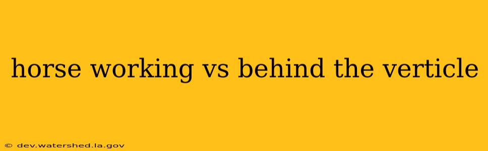 horse working vs behind the verticle