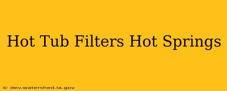hot tub filters hot springs