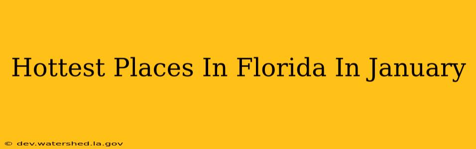 hottest places in florida in january