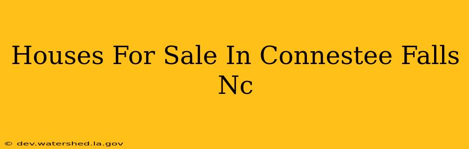 houses for sale in connestee falls nc