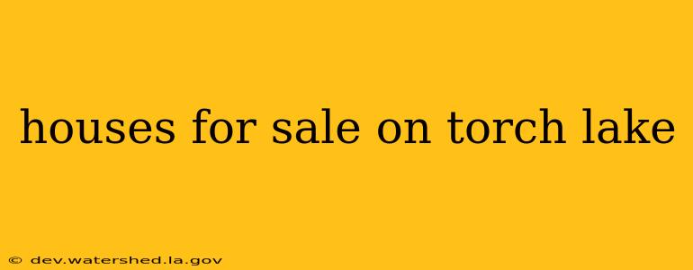 houses for sale on torch lake