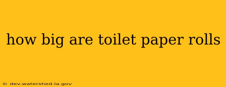 how big are toilet paper rolls