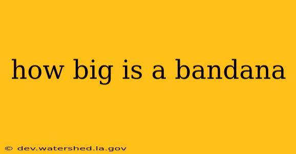 how big is a bandana