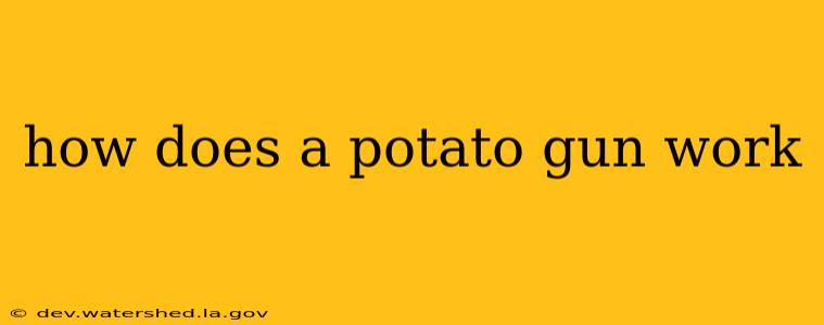 how does a potato gun work