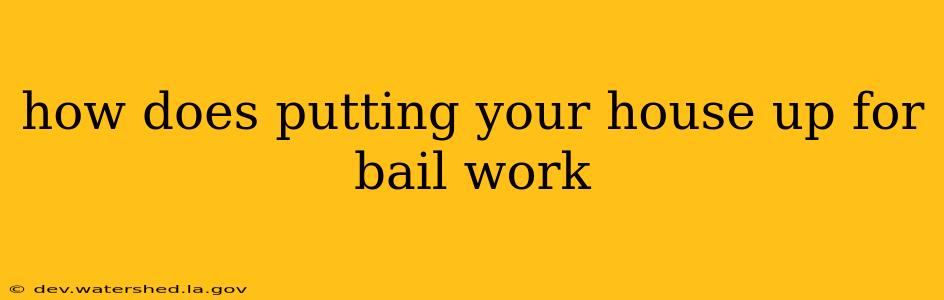 how does putting your house up for bail work