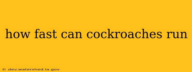 how fast can cockroaches run