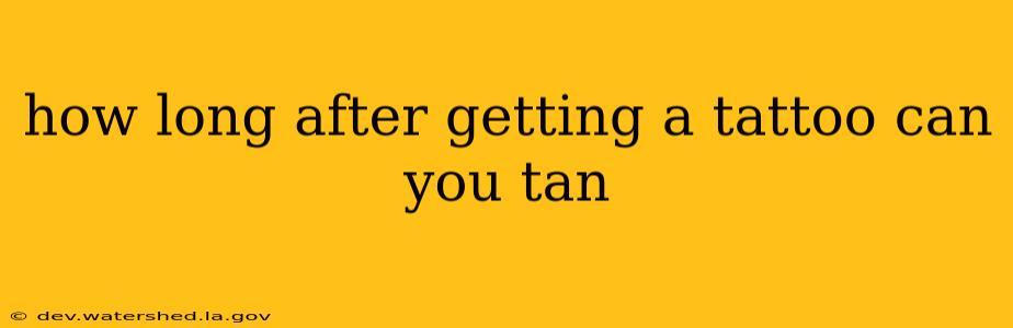how long after getting a tattoo can you tan