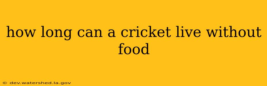 how long can a cricket live without food