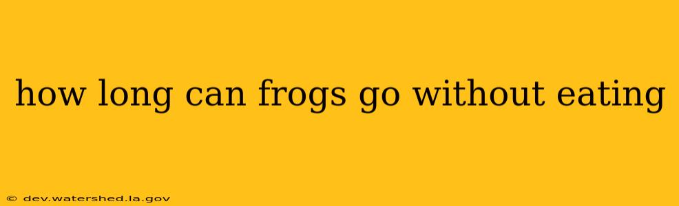 how long can frogs go without eating