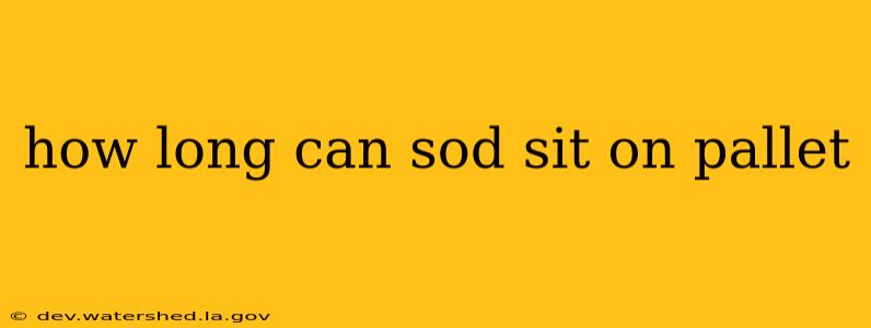 how long can sod sit on pallet
