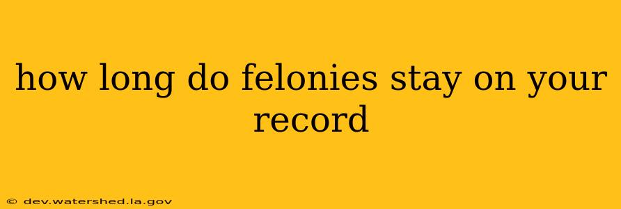 how long do felonies stay on your record