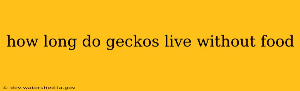how long do geckos live without food