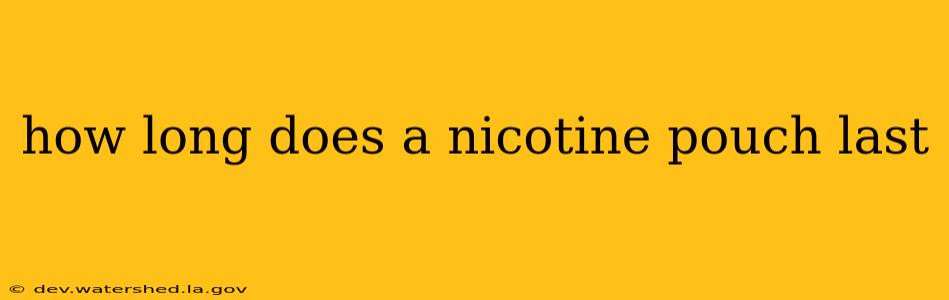 how long does a nicotine pouch last